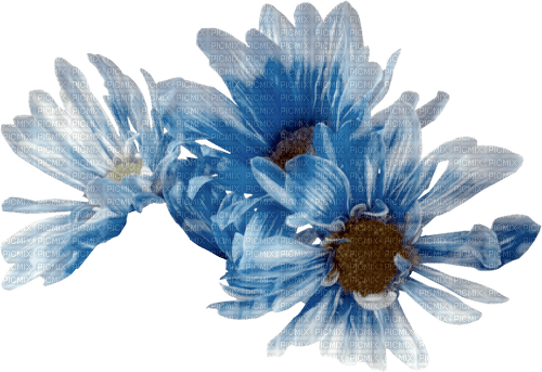 blue flowers 6 - gratis png