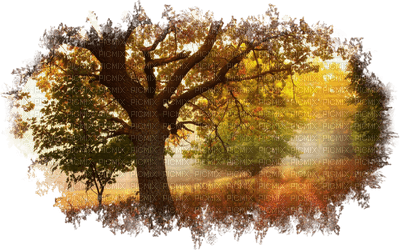 Kaz_Creations Paysage Scenery Autumn - png gratuito