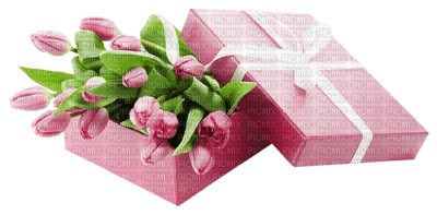 Kaz_Creations Flowers Deco Flower Colours Gift Box - ilmainen png