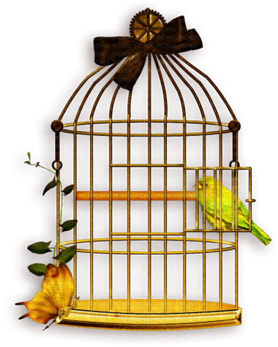 Cage à oiseaux - PNG gratuit