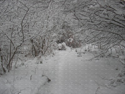paysage d hiver - gratis png