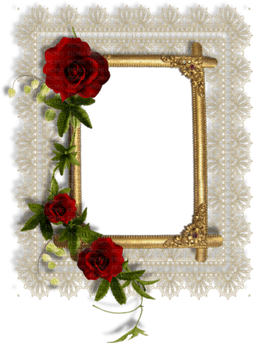 frame gold-guld roses--rosor - darmowe png