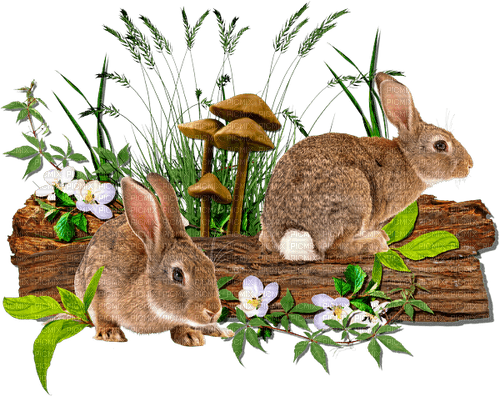 Cluster.Spring.Easter.Rabbits.Flowers - 免费PNG