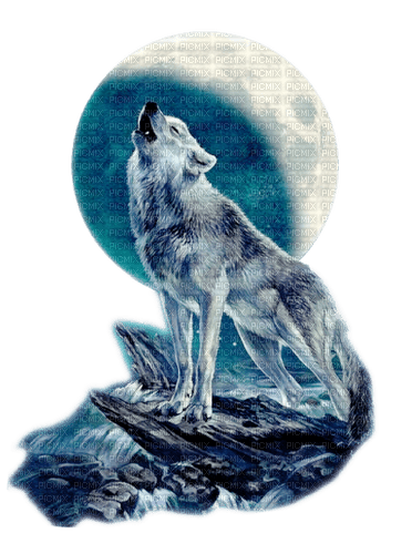 wolf - фрее пнг