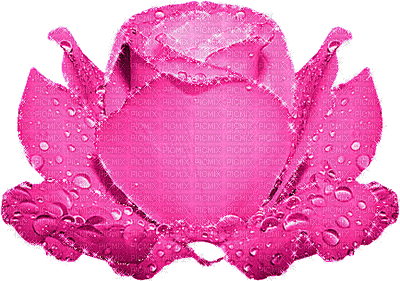 spring printemps flower fleur blossom fleurs gif anime animated tube deco  blume  pink rose glitter