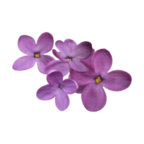 kikkapink purple flower deco spring summer - PNG gratuit