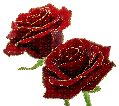 glitter roses - GIF animé gratuit