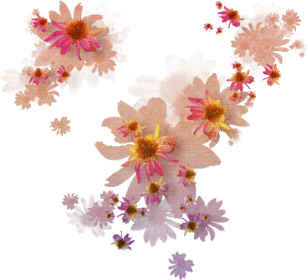 blommor---flowers - бесплатно png
