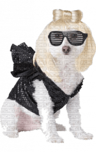 Kaz_Creations Dog Pup Costume - zdarma png