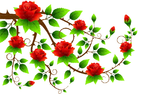 flowers milla1959 - Darmowy animowany GIF