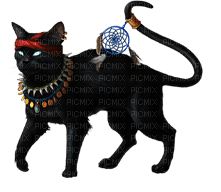 cats bp - zadarmo png