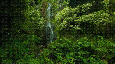 waterfall - GIF animé gratuit
