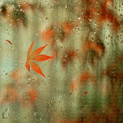 autumn - 無料のアニメーション GIF
