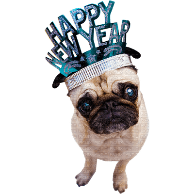 Kaz_Creations Dog Pup Dogs Happy New Year - gratis png