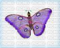papillon mauve - nemokama png