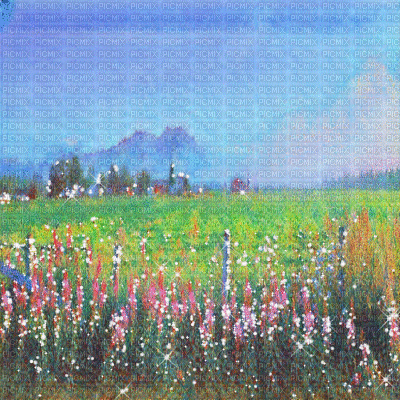 kikkapink background flowers spring field - GIF animé gratuit