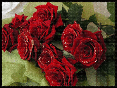image encre animé effet fleurs roses printemps  edited by me - Бесплатный анимированный гифка