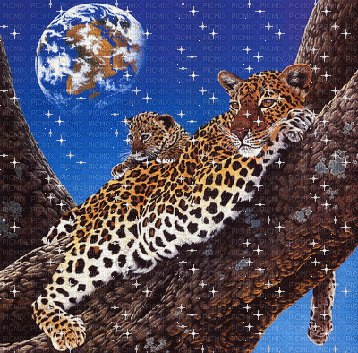 leopardo - GIF animate gratis