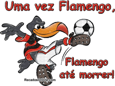 Flamengo - Nemokamas animacinis gif