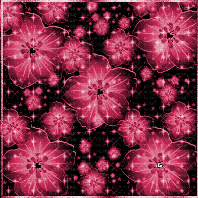 Flowers-&-Stars-Combined-BG-ESME4EVA2021 - GIF animado gratis