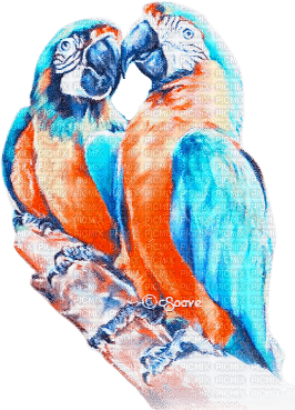 soave deco summer bird branch tropical parrot - бесплатно png