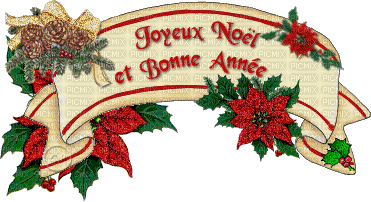 Joyeux Noël Bonne Année - Безплатен анимиран GIF