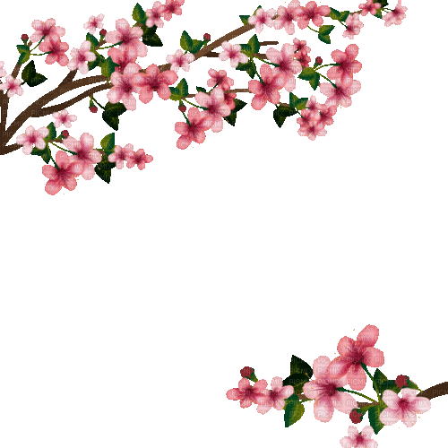 Y.A.M._Japan Spring Flowers Decor - GIF animé gratuit
