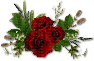 fleurs/decoration - 免费PNG