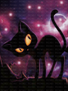 MMarcia gif gato preto - Бесплатный анимированный гифка