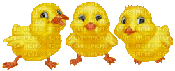 ani påsk-kyckling - GIF animé gratuit
