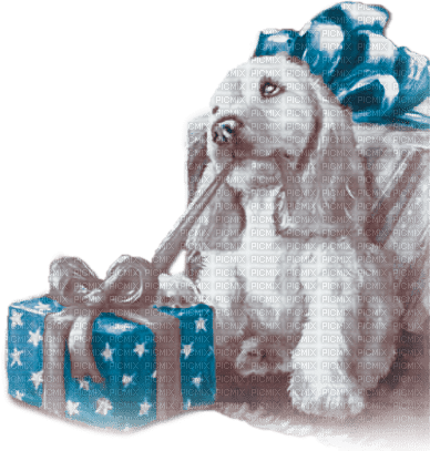 soave christmas winter dog animals deco box - bezmaksas png