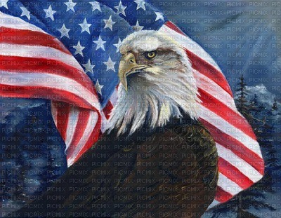 Old Glory - png gratuito