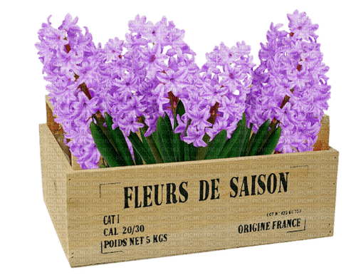 Fleurs - bezmaksas png