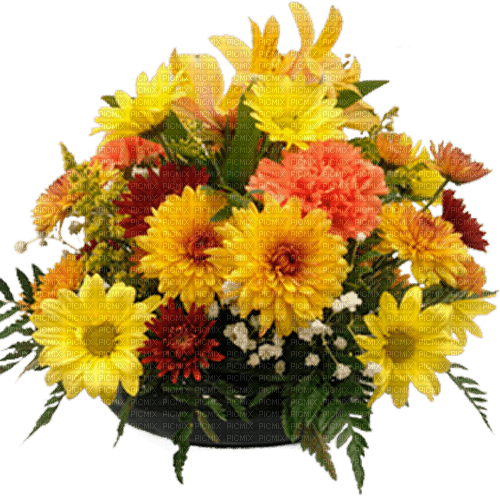 Bloemen en planten - bezmaksas png