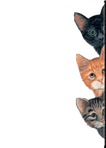 Drei Katzen, Pyramide - nemokama png