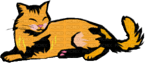 chat roux - GIF animado grátis