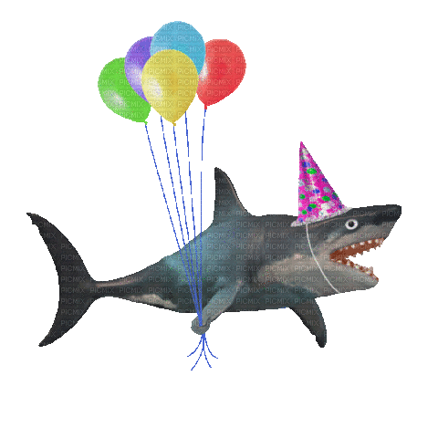 shark - GIF animate gratis