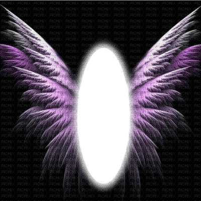 fond wings - Free PNG