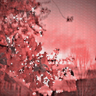 dolceluna asian spring animated background - GIF animasi gratis