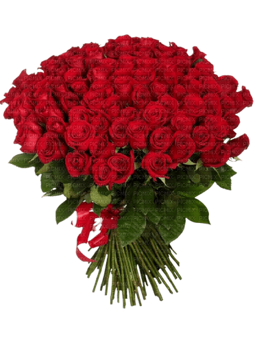 троянди - darmowe png
