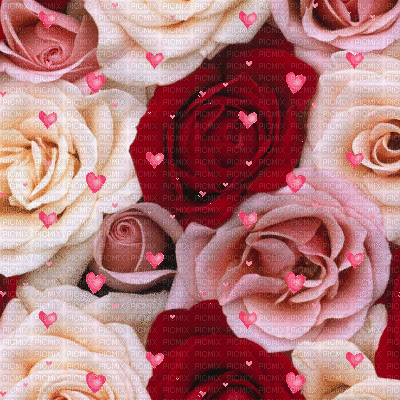 Red/White Roses Background - Бесплатный анимированный гифка