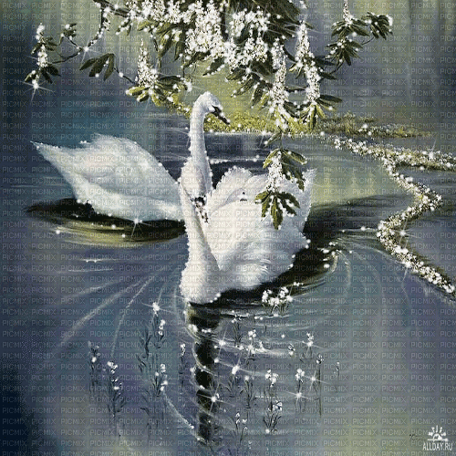 dolceluna flowers spring background swan - GIF เคลื่อนไหวฟรี