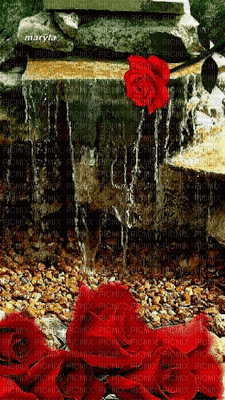 водопадгг розыгуля - 無料のアニメーション GIF