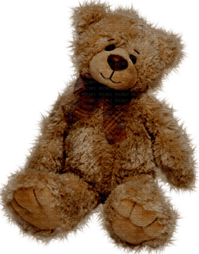 Teddy Bear - darmowe png