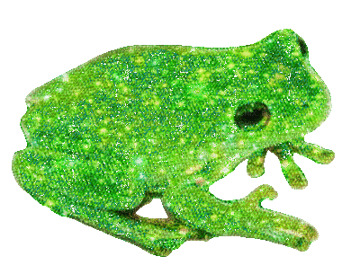 Glitter frog - Besplatni animirani GIF