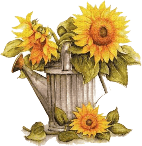 sunflowers Bb2 - png gratuito