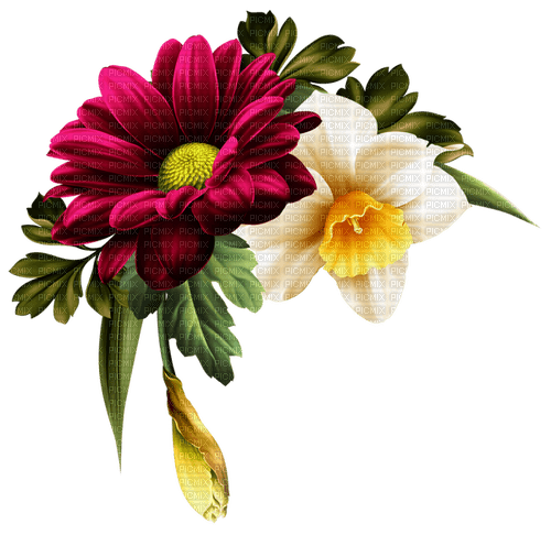 blommor--flowers - δωρεάν png