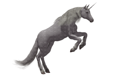 Unicorn 3 - PNG gratuit