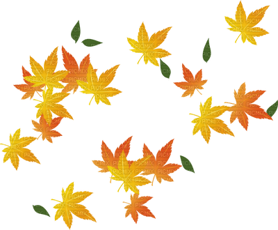 Autumn leaf - darmowe png