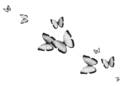 soave deco butterfly black white - bezmaksas png